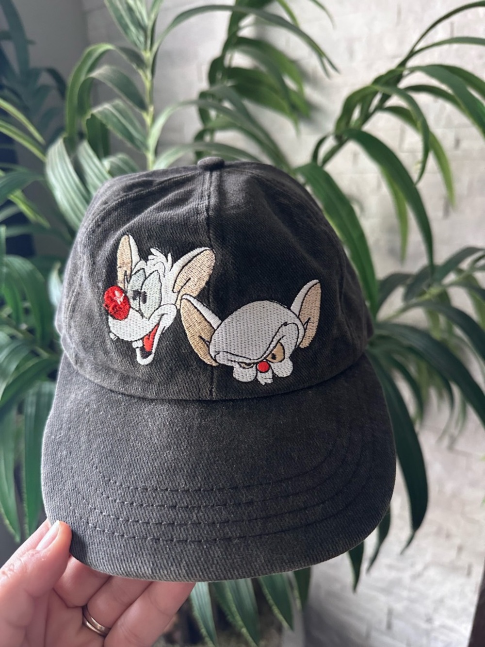 Warner Bros. Animainiacs Pinky & The Brain Vintage 90’s SnapBack Hat
